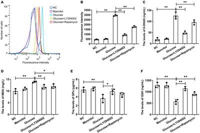 Inhibition of PI3K/AKT/mTOR Signalling Pathway Activates Autophagy and Suppresses Peritoneal Fibrosis in the Process of Peritoneal Dialysis